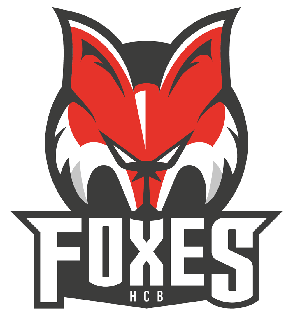Bolzano-Bozen Foxes 2016-Pres Primary Logo iron on heat transfer